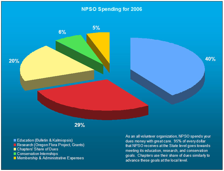 2005 NPSO Spending