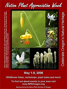 2006 Poster