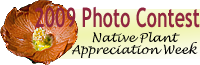 2009 Photo Contest