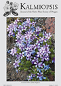 Kalmiopsis 16