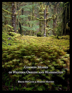 Common Mosses of Western Oregon and Washington Cover