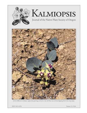Kalmiopsis
