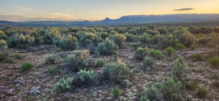 Largest Lithium Deposit in North America holds Ancestral Stories of Climate Change in the McDermitt Caldera