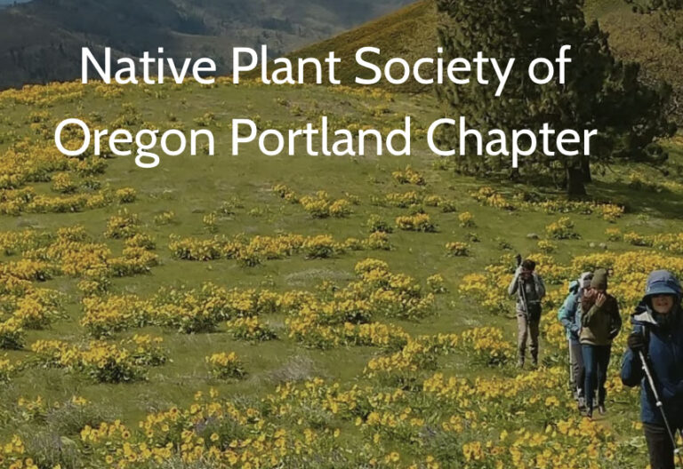 2025 NPSO Annual Meeting